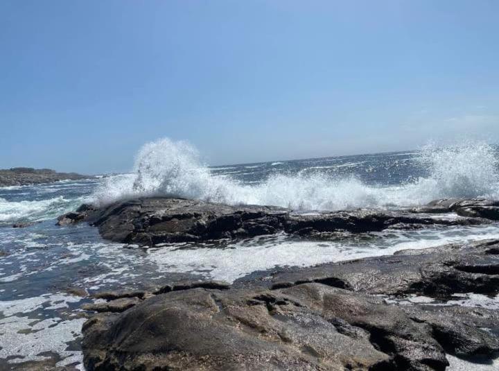 Peregrinos Por La Costa Camino Portugués As Casetas Rosal